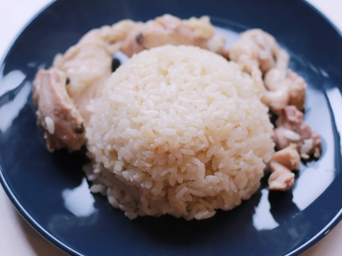 史雲生極鮮清雞湯料理_蔥油雞肉飯_雞湯飯與雞腿肉擺盤